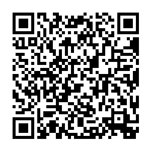 而和自己与麹娅一起实习的其他同学眼睛里都流露出了羡慕嫉妒恨的光泽二维码生成