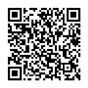 而唐劫的鬼将数量也达到了史无前例的五十以上二维码生成