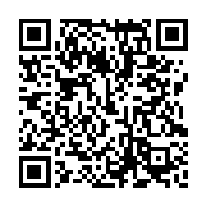 而唐铮体内磅礴的能量就像是找到了一个宣泄口二维码生成