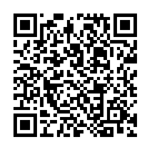 而唯一一个还健全的高俊杰这时也没有心思去管萧易了二维码生成