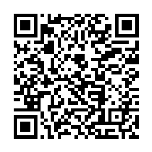 而商业局更是把人见人厌的二混子常春来给打发过来二维码生成
