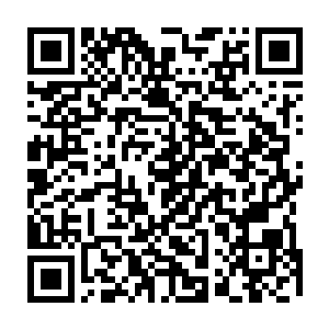 而嗜血珠也毫不客气的将这一丝丝的血穴能量转化成纯净能量向池佳一输送而来二维码生成