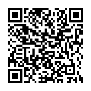 而回到了家里面的老爷子和老太太相互的看了看二维码生成