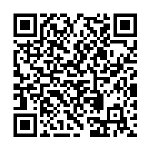 而回答金在珉的只是金惠善递上来的一本白纸而已二维码生成