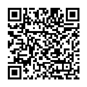 而因为听到了周围仙人的闲聊得到消息而震惊的两人二维码生成