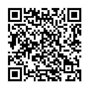 而因为敖月月自己都没反应过来的正常说话中的本能嫌弃二维码生成