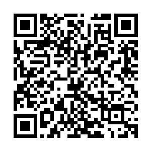 而因为湾虾还有着非常强大的在低氧和缺氧环境之中的生存能力二维码生成