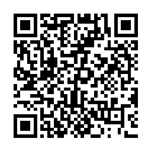 而因为这几本书中标记着英文字母的页面都是在几百页的位置处二维码生成