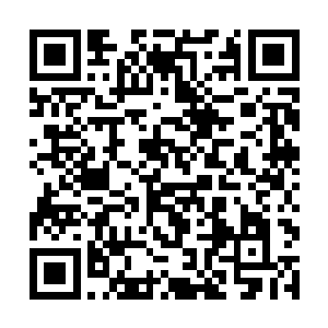 而园子里还有一大群小宫女全都惊恐无比的跪在地上二维码生成