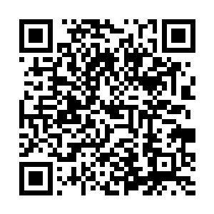 而圣王强者施展的结界之力也是由天地之力转化而成二维码生成