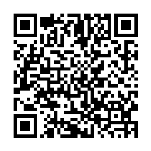 而在一旁昏昏欲睡的萌星却突然双眼发亮的直起身子二维码生成