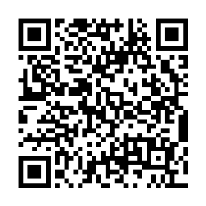 而在一旁被娜丽丝紧紧抓住小手的沙浩却是一脸的兴奋之色二维码生成