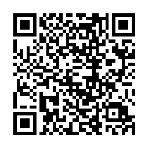 而在一百年的龙战众人此刻心中也是不由的紧张了起来二维码生成