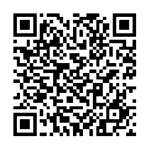 而在一边的紫龙听着虎啸天这么说自然是不敢在犹豫二维码生成