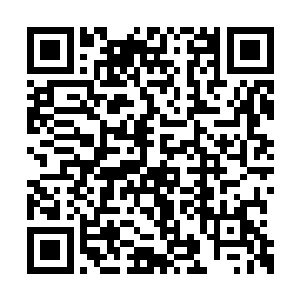 而在不远处还有着几只海鸥一样的鸟类振翅高飞二维码生成