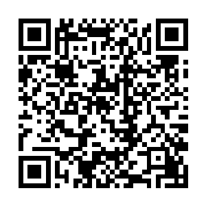 而在两辆汽车旁边还有几个入正在眺望着远处谈论着二维码生成