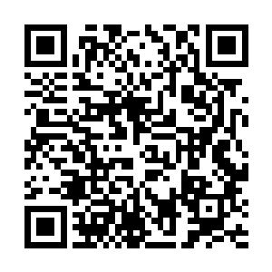 而在云思凡的双眼之中早就已经泛起了一圈一圈的泪水二维码生成