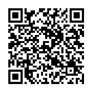 而在五长老的身侧还跟着一名体型彪悍的中年大汉二维码生成