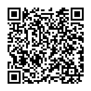 而在他们后面那些乱七八糟站着不知道折腾什么不好好排队的仙兽们二维码生成