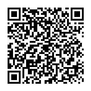 而在他们的后面还有大量的仙君期一下的修士乘坐着仙舟正疯狂赶来二维码生成