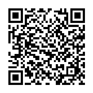 而在他们身后那铺天盖地的蚊群则依旧是穷追不舍二维码生成