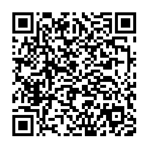 而在他们进入之后下方半隐在火红之中的楼阁里突然飞出六七名血修者二维码生成