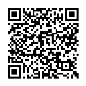 而在几人惊愕不已的打量着那些绿衣少女的时候二维码生成