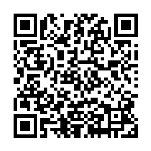 而在前些日子叶尘失忆之后我们才以天地为证自主完婚的二维码生成