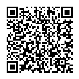 而在压在箱子上的腐烂成烂泥枯骨的腐尸被直接打成碎肉掉落地上二维码生成
