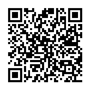 而在原地焦灼着再次确认屋内并没有任何能藏身的地方后二维码生成