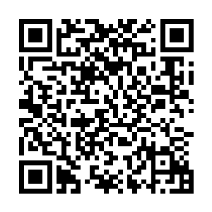 而在厨房里准备最后一锅汤的林母也是在心里面偷笑了起来二维码生成