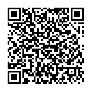 而在周围氛围随着两只小魔龙变换人形且气息完美变化而变化的时候二维码生成