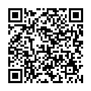 而在周瑜身旁的将士却也不禁为鲁肃捏了一把冷汗二维码生成