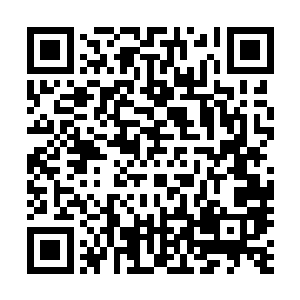 而在地上打滚的东方家主根本没精力回答西门吹雪所说的话二维码生成