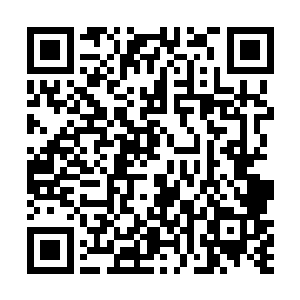 而在场的其他家族所有修士加起来也不过才二十人而已二维码生成