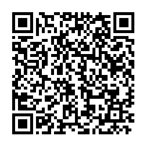 而在外面的许家组成十二诸象大阵的血脉弟子也开始了一波一波的突破二维码生成