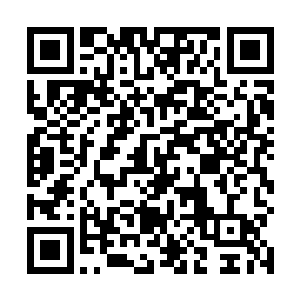 而在她逆袭的世界中却是故意设下陷阱的疯狂报复邢妍二维码生成