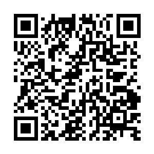 而在宫殿的百分之九十的面积被一个巨大的水池占据着二维码生成