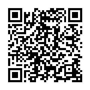 而在密林之隐藏的则是由拉拉杜维亲自带领的巨人机甲军团二维码生成