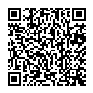 而在我的眼前此刻深受重伤的林梦君竟然就是那预言之中六王之一二维码生成