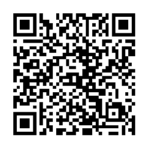 而在查看着凡人资料库资料的两只血妖姬闻声应了一下二维码生成