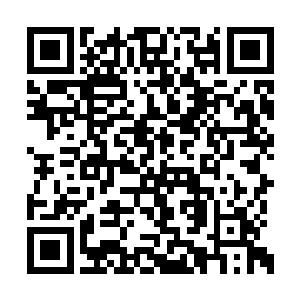 而在流墨墨他们身后的易红仙人见状只闪身过来二维码生成