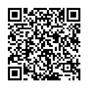 而在海市郊区的加工厂正在夜以继日的生产魅影5号二维码生成