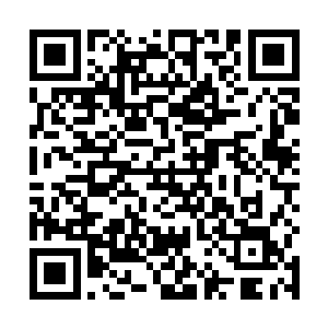 而在灵魂力保护之下的记忆区更是宛如最为坚固的堡垒二维码生成