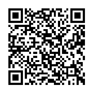 而在看到这个怪模怪样的小松鼠居然一闪就没了二维码生成