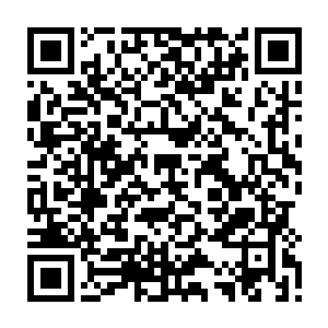 而在绿鱿鱼尸体的旁边还有一群拳头大的虾秧蟹苗在捡皮球漏下来的残羹冷炙二维码生成