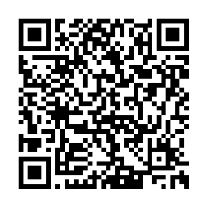 而在老者的胸前佩戴着一枚紫光闪闪的紫色徽章二维码生成