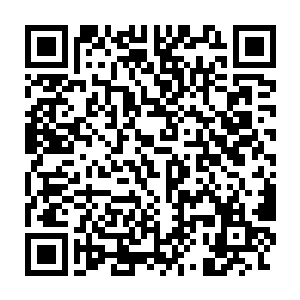 而在联邦那边的事情苏凡也是安排的妥妥当当的不会有一点的事情发生二维码生成