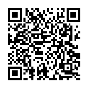 而在苏凡的脑袋上此刻也是不停的有着鲜血流下来二维码生成