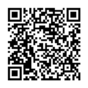 而在苏凡身边的修罗和娜丽丝也是慢慢的站了起来二维码生成